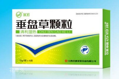 垂盆草和佛甲草的区别,看一眼叶子就明白了就是这么简单